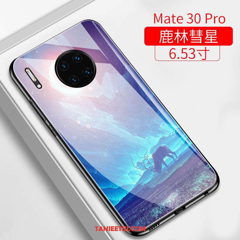 Etui Huawei Mate 30 Pro Lustro Szkło All Inclusive, Obudowa Huawei Mate 30 Pro Ochraniacz Trudno Osobowość