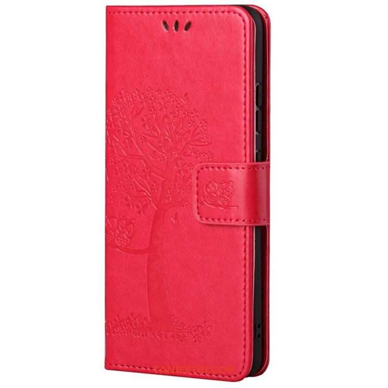 Etui Folio do Samsung Galaxy M23 5G Sowa Drzewo