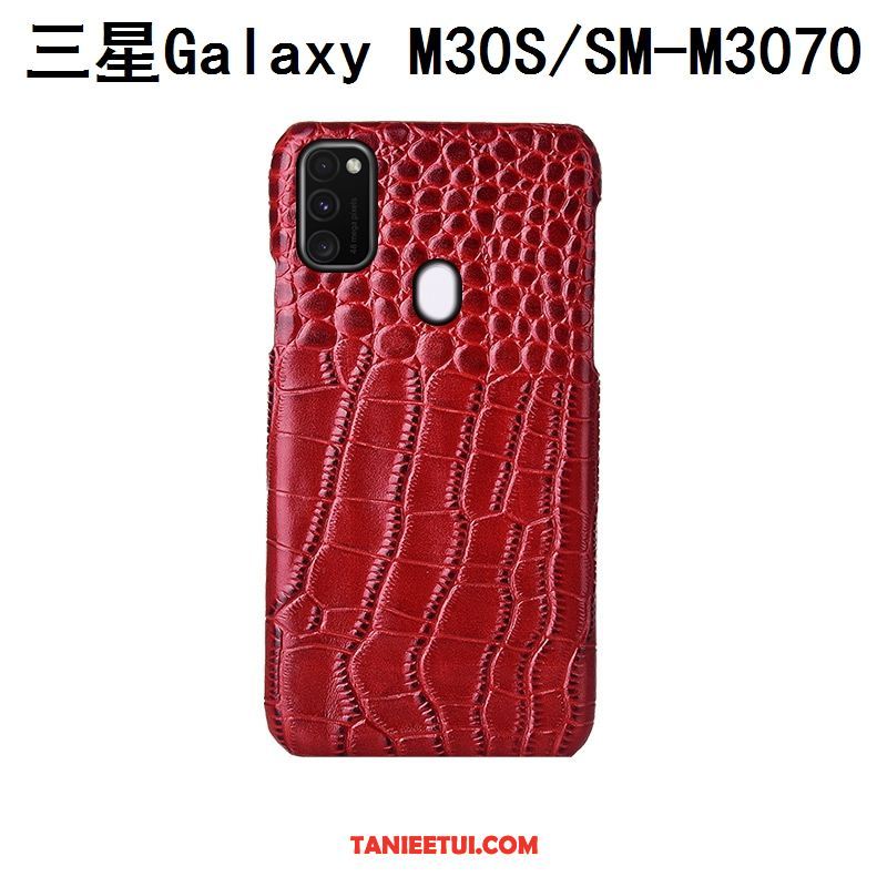 Etui Samsung Galaxy M30s Anti-fall Ochraniacz Prawdziwa Skóra, Futerał Samsung Galaxy M30s Ptak Dostosowane Telefon Komórkowy Braun