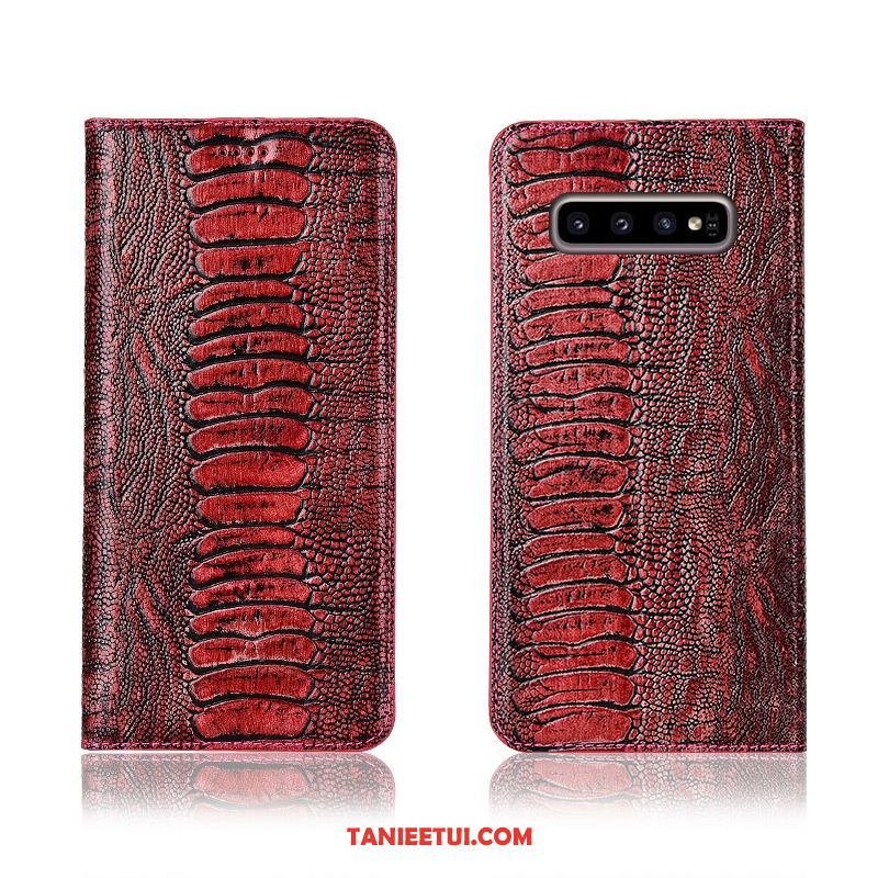 Etui Samsung Galaxy S10 Anti-fall Prawdziwa Skóra Ochraniacz, Obudowa Samsung Galaxy S10 Nowy Ptak Klapa Braun