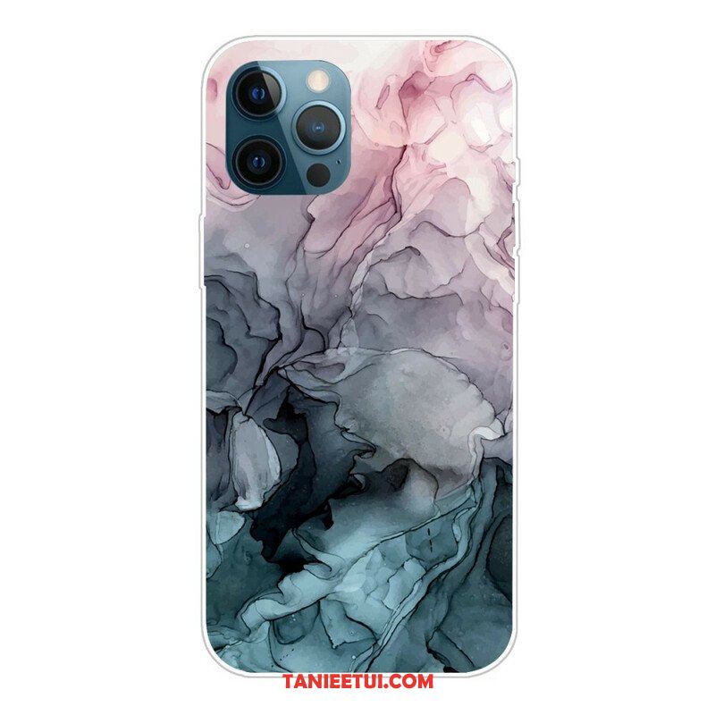 Etui do iPhone 13 Pro Kolory Marmuru