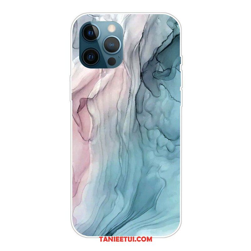 Etui do iPhone 13 Pro Kolory Marmuru