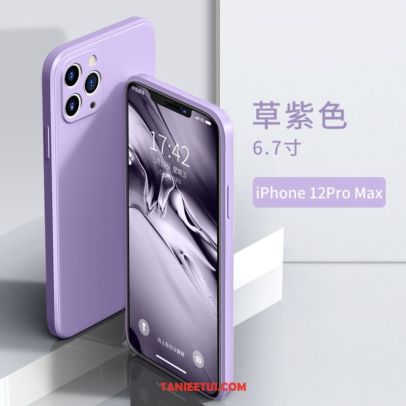 Etui iPhone 12 Pro Max Anti-fall Kreatywne Nowy, Futerał iPhone 12 Pro Max Osobowość Miękki Purpurowy