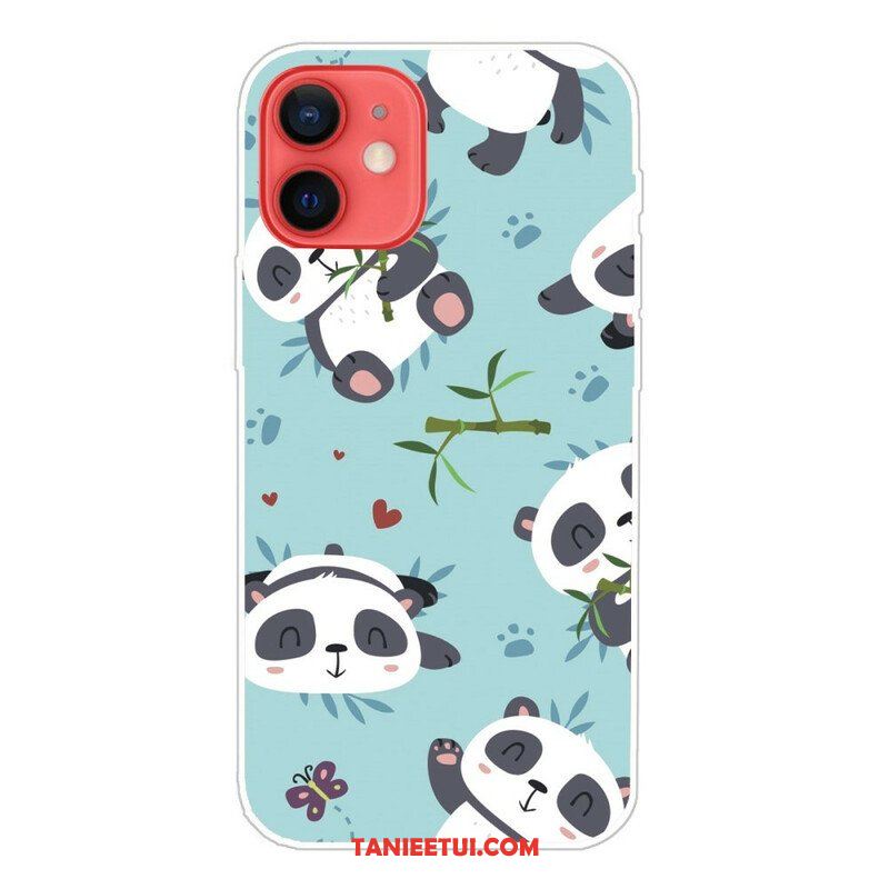 Etui do iPhone 13 Mini Banda Pand