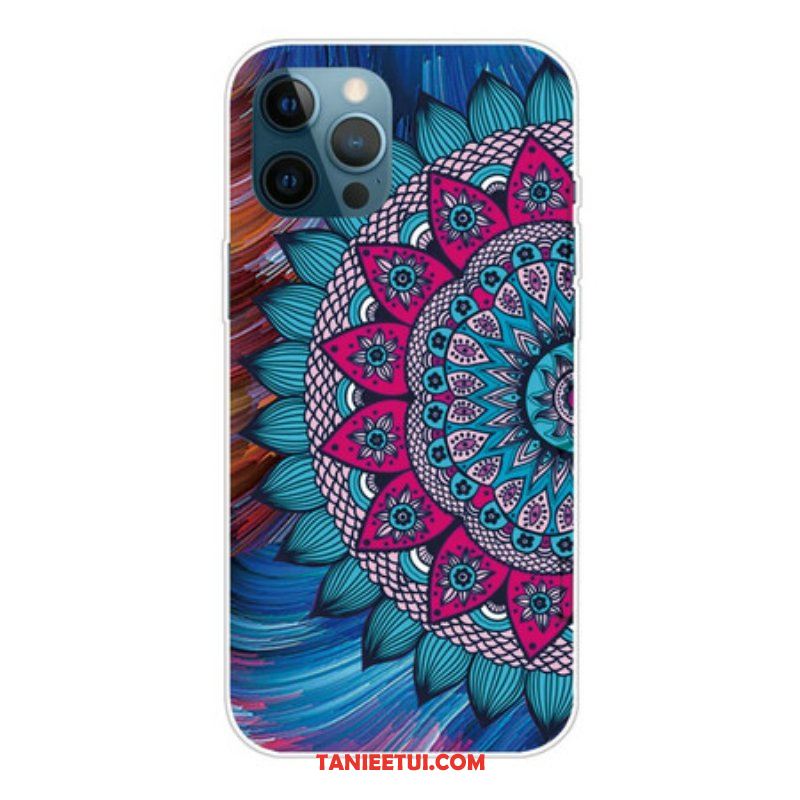 Etui do iPhone 13 Pro Max Kolorowa Mandala