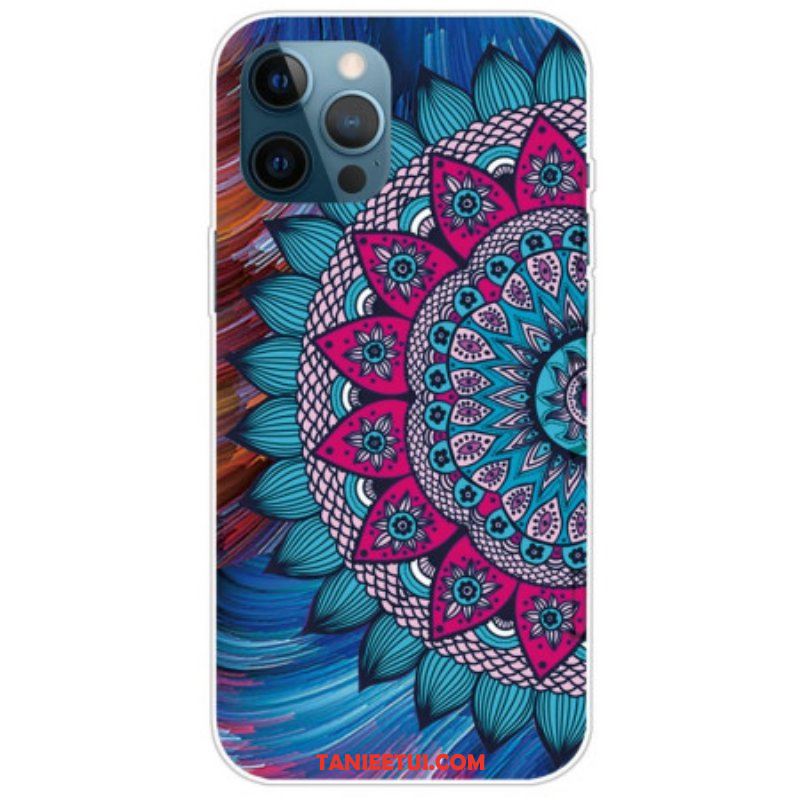 Etui do iPhone 14 Pro Max Kolorowa Mandala