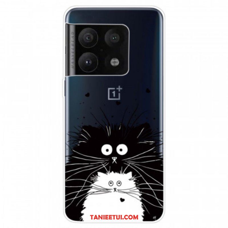 Futerały do OnePlus 10 Pro 5G Zaskoczone Koty